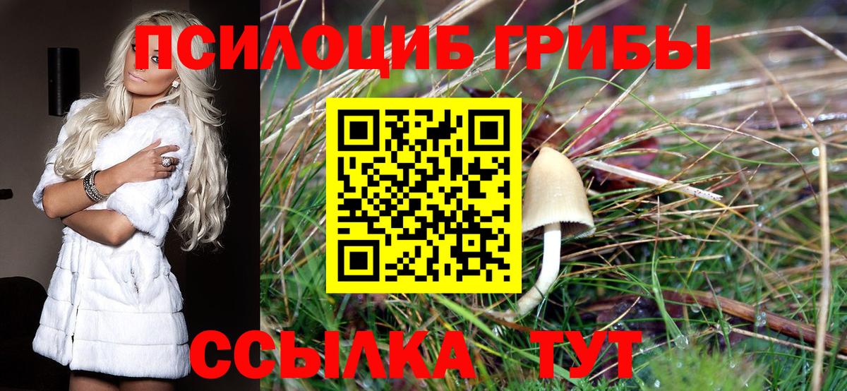 Новоалтайск  Галлюциногенные грибы мицелий  Вход с VPN  где найти   Псилоцибиновые грибы мухоморы 