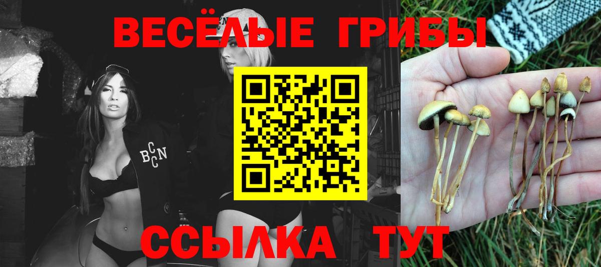 Галлюциногенные грибы MAGIC MUSHROOMS Новоалтайск